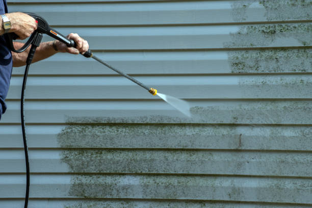 Best Exterior Home Cleaning  in Avoca, PA